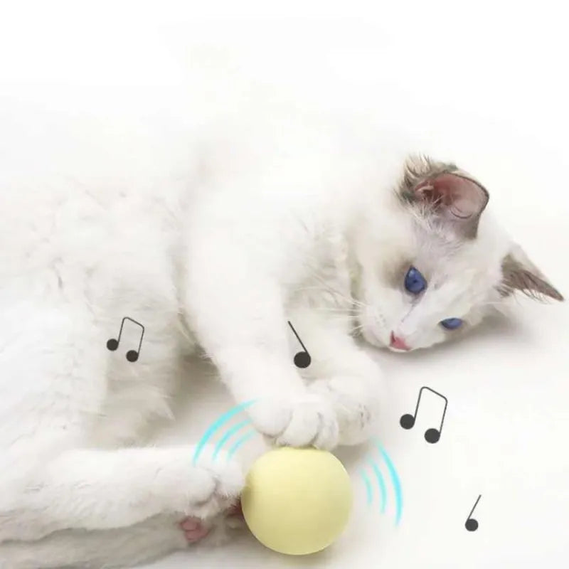 Interactive Catnip Cat Playing Ball