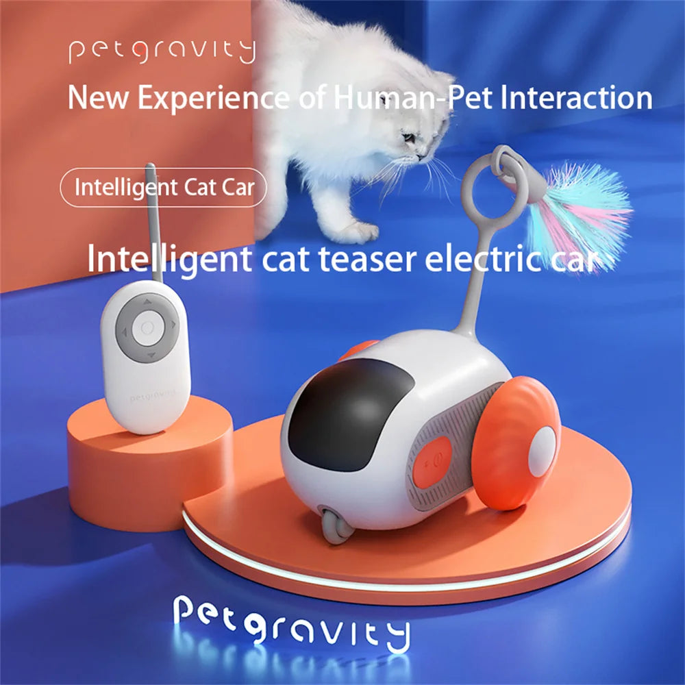 Remote Control Electric Cat Car