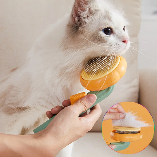 Cats Grooming Hair Brush - Its Meow or Never