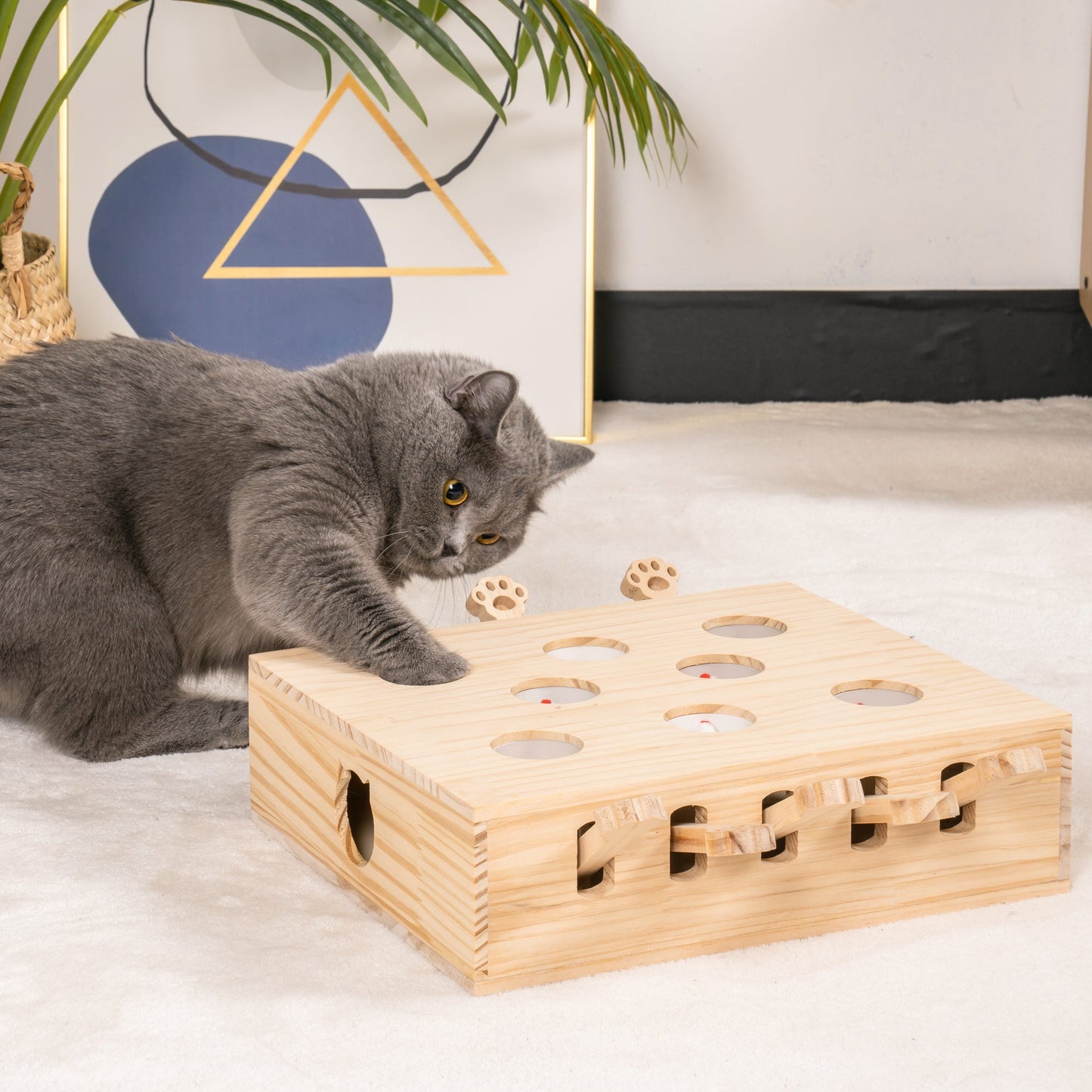 8 Holes Cat Toys - Its Meow or Never